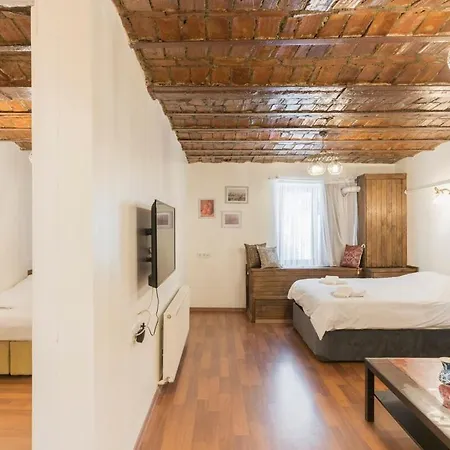 Beautiful 1 Bedroom Apt Wac 400 Meters Taksim Square Innv34004 * Estambul